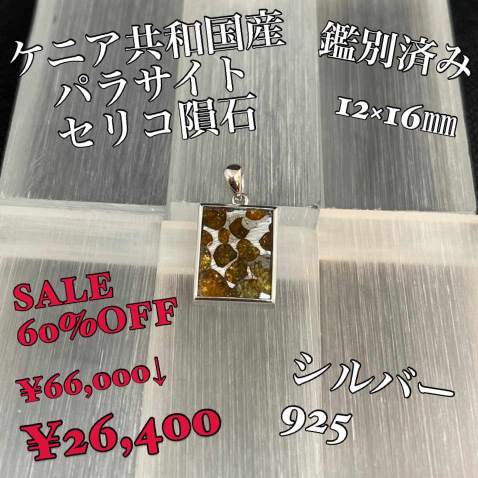 パラサイト隕石　ケニア•セリコ産　ペンダントトップ　② 英文鑑別書付き ユニセックス】わずか2％の奇跡「宇宙の宝石」セリコ パラサイト隕石