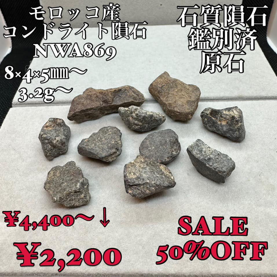 サハラNWA869隕石 コンドライト モロッコ産 鑑別済 希少 石質隕石 火星